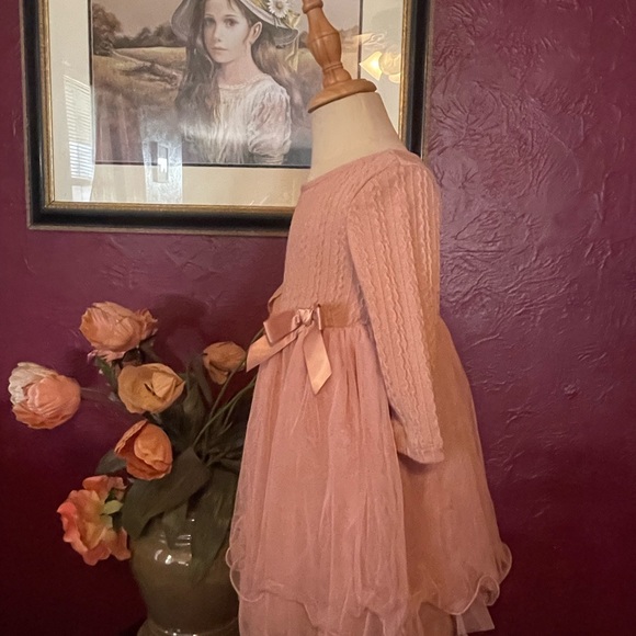 2t brand: special occasion, Pink long sleeve summer/spring dress - Picture 9 of 9